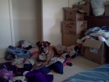 conder87 profile photo