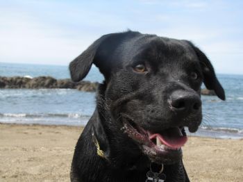 LauraMorris profile photo