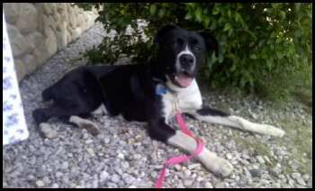 allen333 profile photo