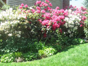 mickey44 profile photo