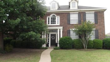 bluecat11 profile photo