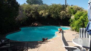 bluecat11 profile photo