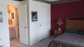 bluecat11 profile photo