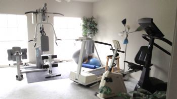 bluecat11 profile photo