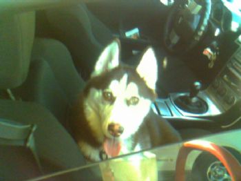 Justin profile photo