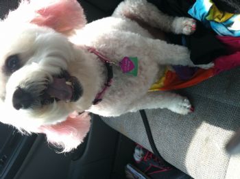 shopaholic19 profile photo