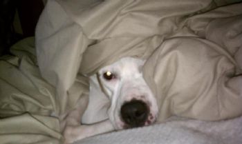 kate0626 profile photo