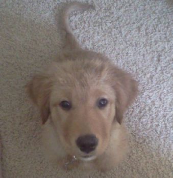 kkomas profile photo