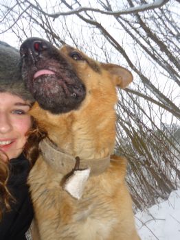 sandra ambra profile photo