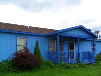 kambiz101 profile photo