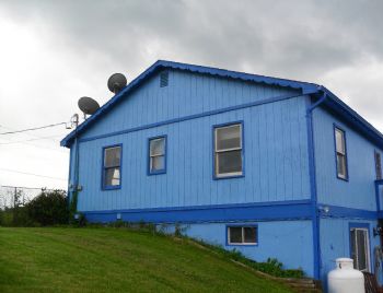 kambiz101 profile photo