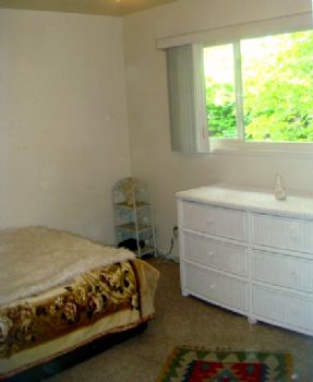 katznkitz profile photo