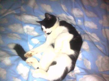 yep1423 profile photo