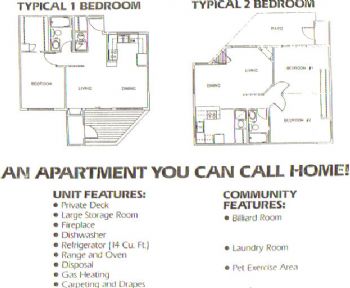 420lover profile photo