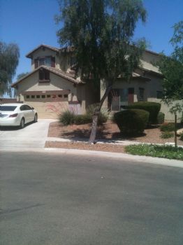 hlywd7171 profile photo