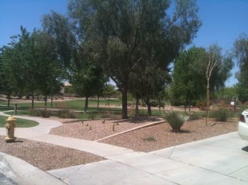 hlywd7171 profile photo