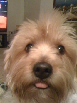 hlywd7171 profile photo