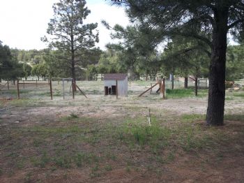 akusei profile photo