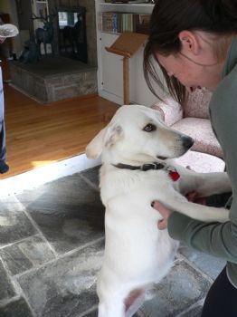 elsalynn99 profile photo