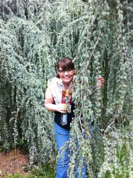 Dixie4542 profile photo