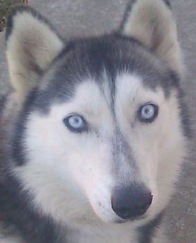 mrfitness profile photo