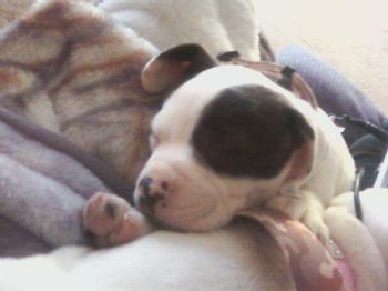 cj88jw profile photo