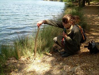 krishawk88 profile photo