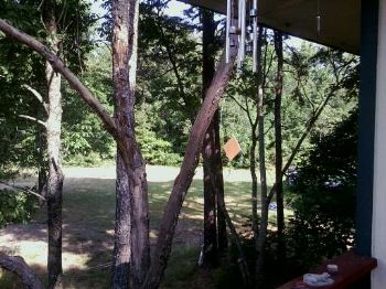 Willow64 profile photo