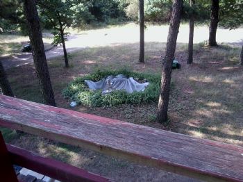 Willow64 profile photo