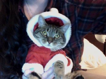 deswhitt profile photo