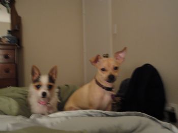 labauve65 profile photo