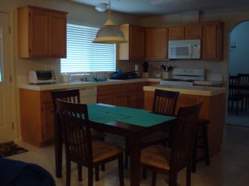 shellydavis profile photo