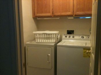 shellydavis profile photo