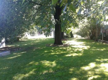 Bbailey profile photo