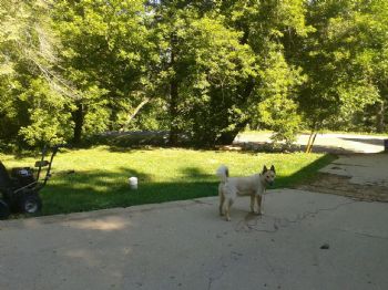 Bbailey profile photo