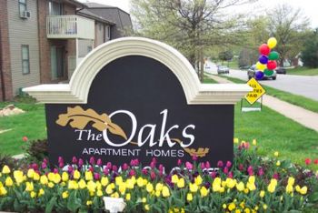 becs229 profile photo