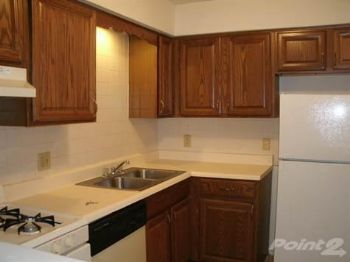 becs229 profile photo