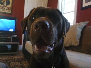 Guinness2012 profile photo