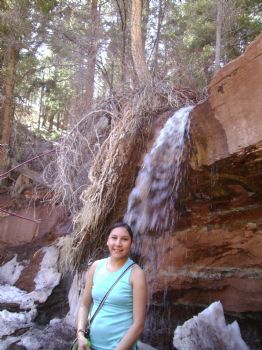 cnatoni profile photo