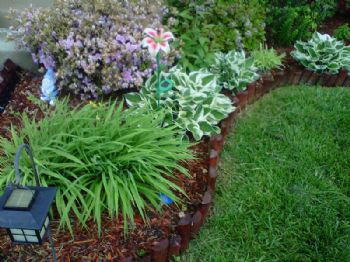 EverAmbr profile photo