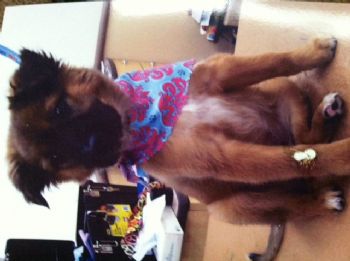 brooklynntae profile photo