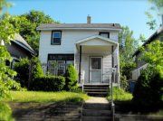 alib717 profile photo