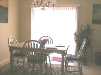 Solaris11 profile photo