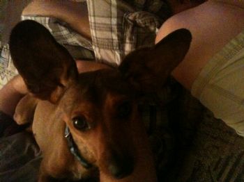 clwestp01 profile photo