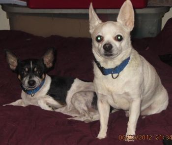 faith4111 profile photo