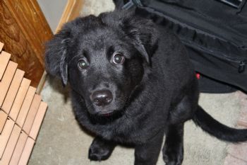 SLSmith profile photo