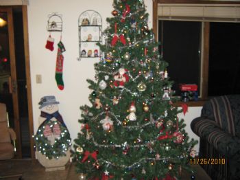 cozumeleno profile photo