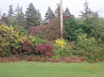 cozumeleno profile photo