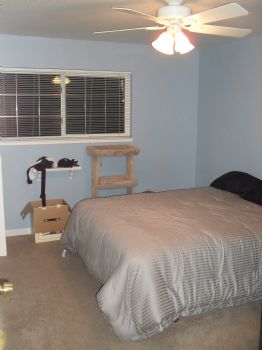 superhunk099 profile photo