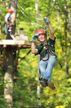 sharris1 profile photo